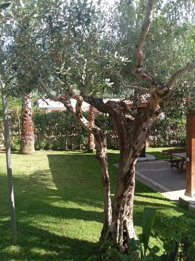 Forchia Villa Agata מראה חיצוני תמונה